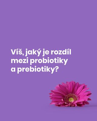 Probiotika můžeš doplnit i formou výživových doplňků, třeba od značky Natios! #natima #natimacz #natios #natioshealth
